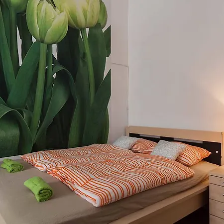 Apartment Rehorova 44
