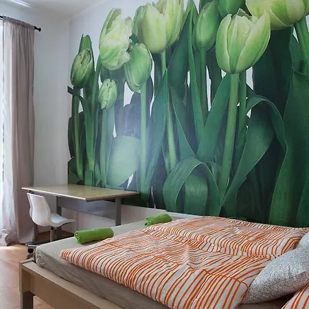 Rehorova 44 Apartment